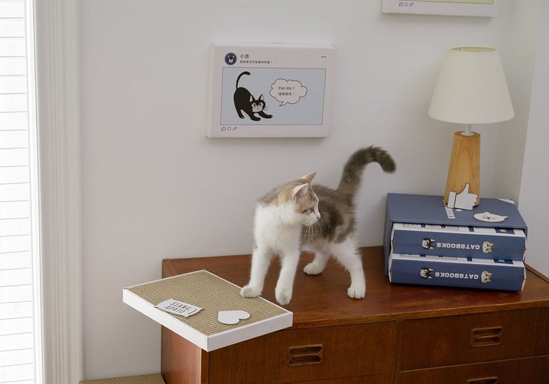 新品開箱│不掉屑的抓板就是好抓板！翔仔居家x喵覓MeowMie聯名貓抓板開箱