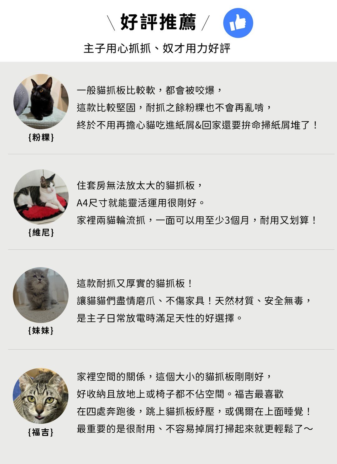 貓臉書 - 書本貓抓板 / 喵覓MeowMie聯名