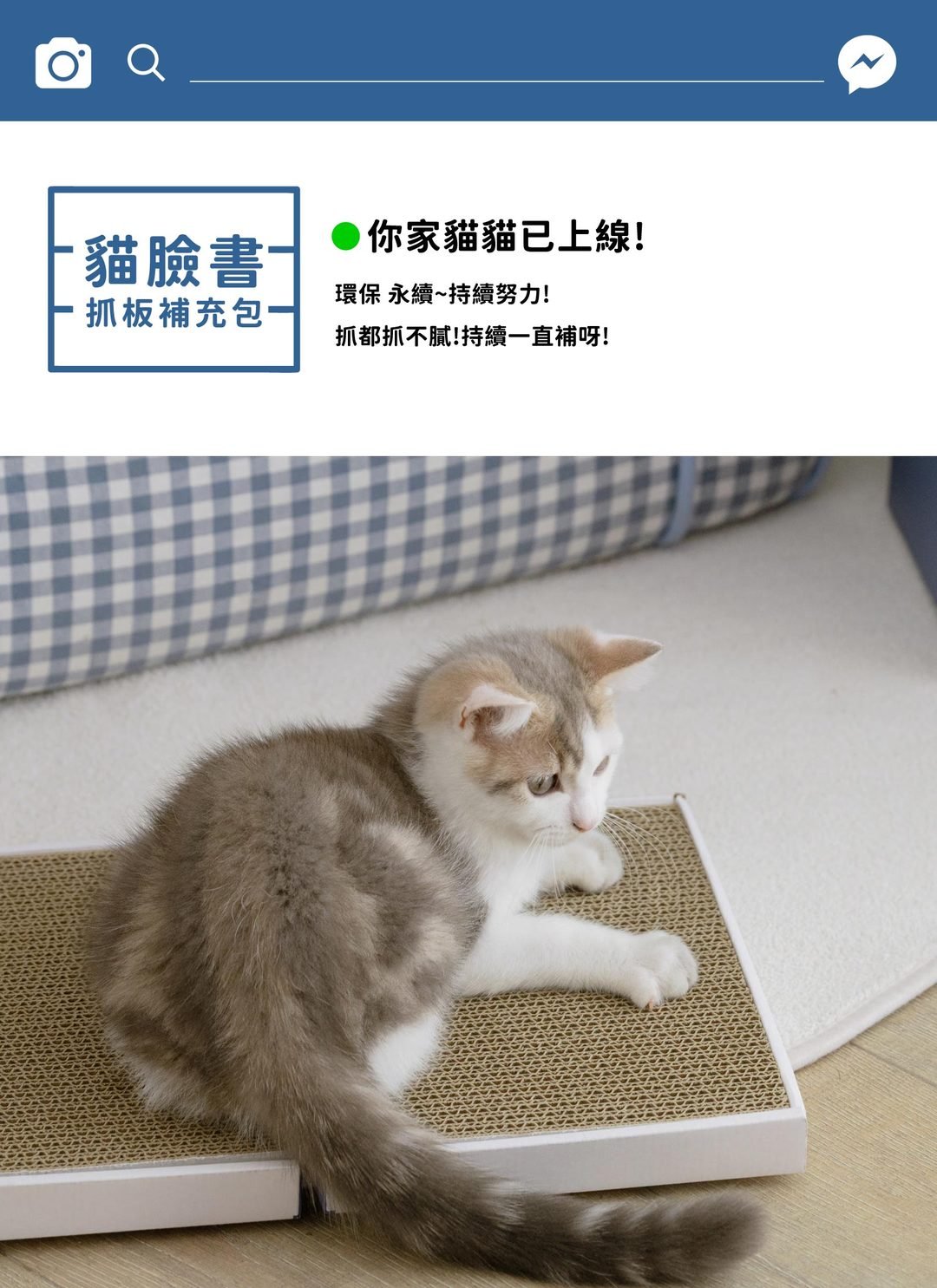 貓臉書 - 貓抓板補充包 ( 三入 ) / 喵覓MeowMie聯名