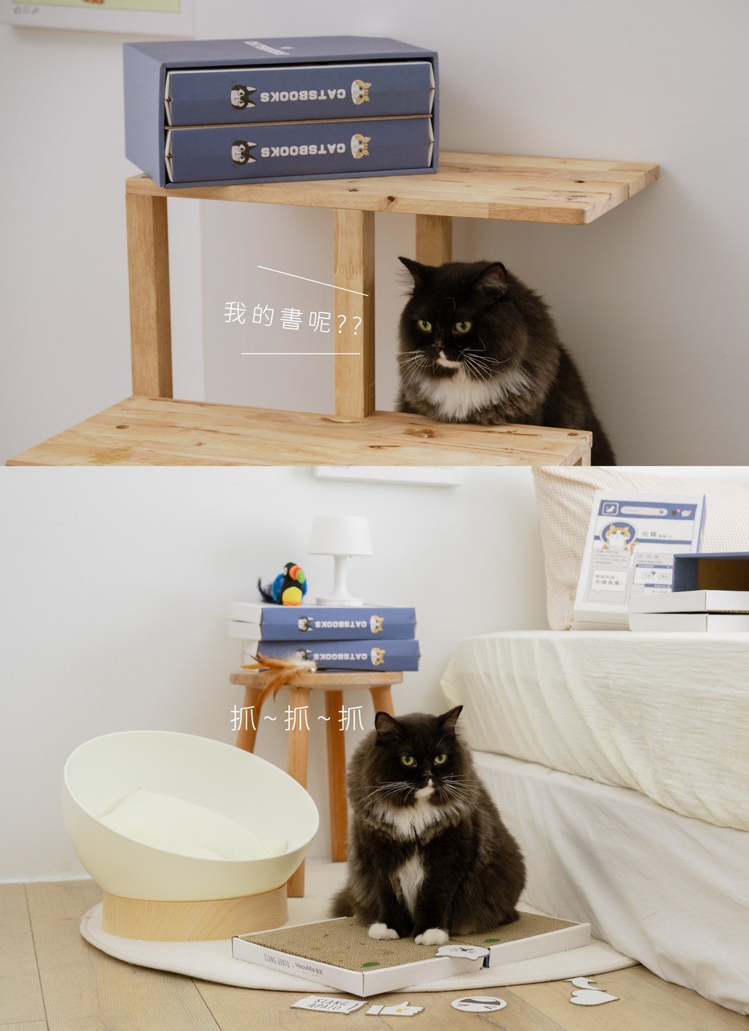 貓臉書 - 書本貓抓板 / 喵覓MeowMie聯名