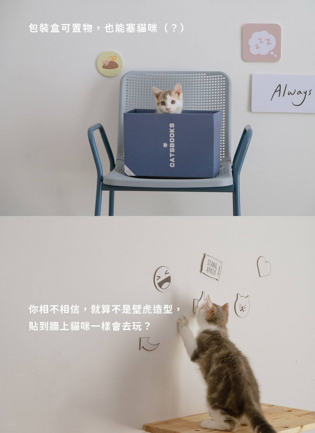 貓臉書 - 書本貓抓板 / 喵覓MeowMie聯名