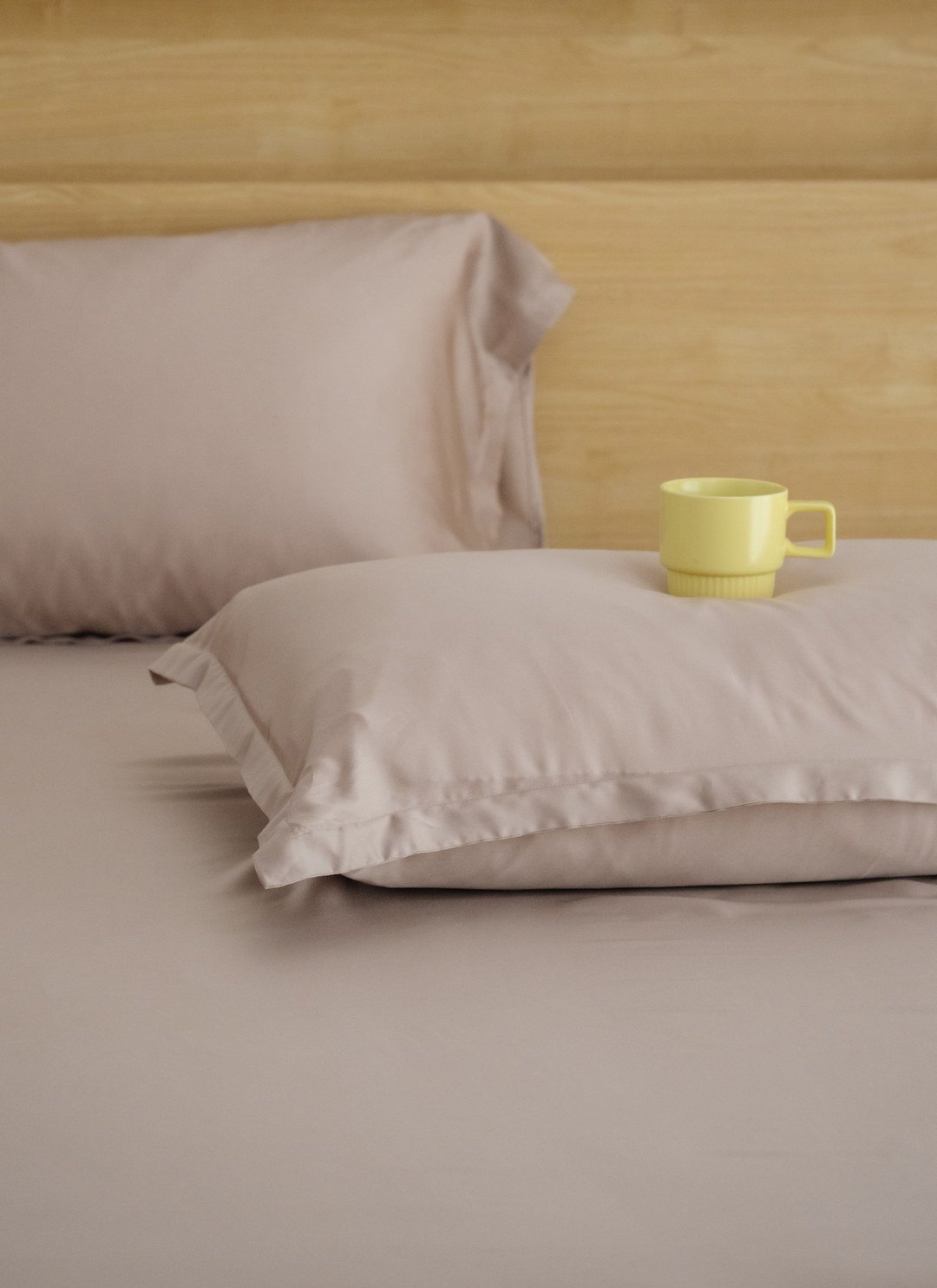 恆光 - 天絲枕套 / 2入組