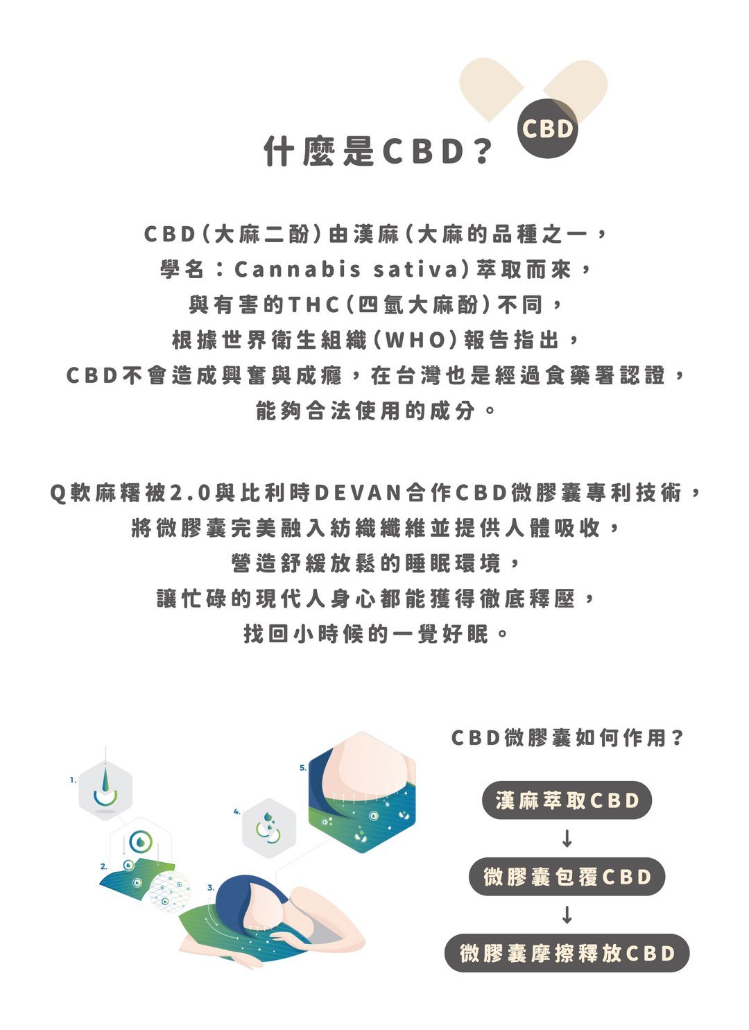 暖暖午後 - 可水洗枕墊 / 2入 / 添加CBD