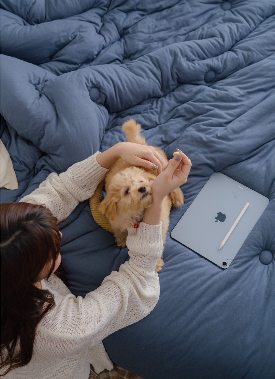 英倫午茶 - Q軟麻糬被2.0 ( 添加CBD )