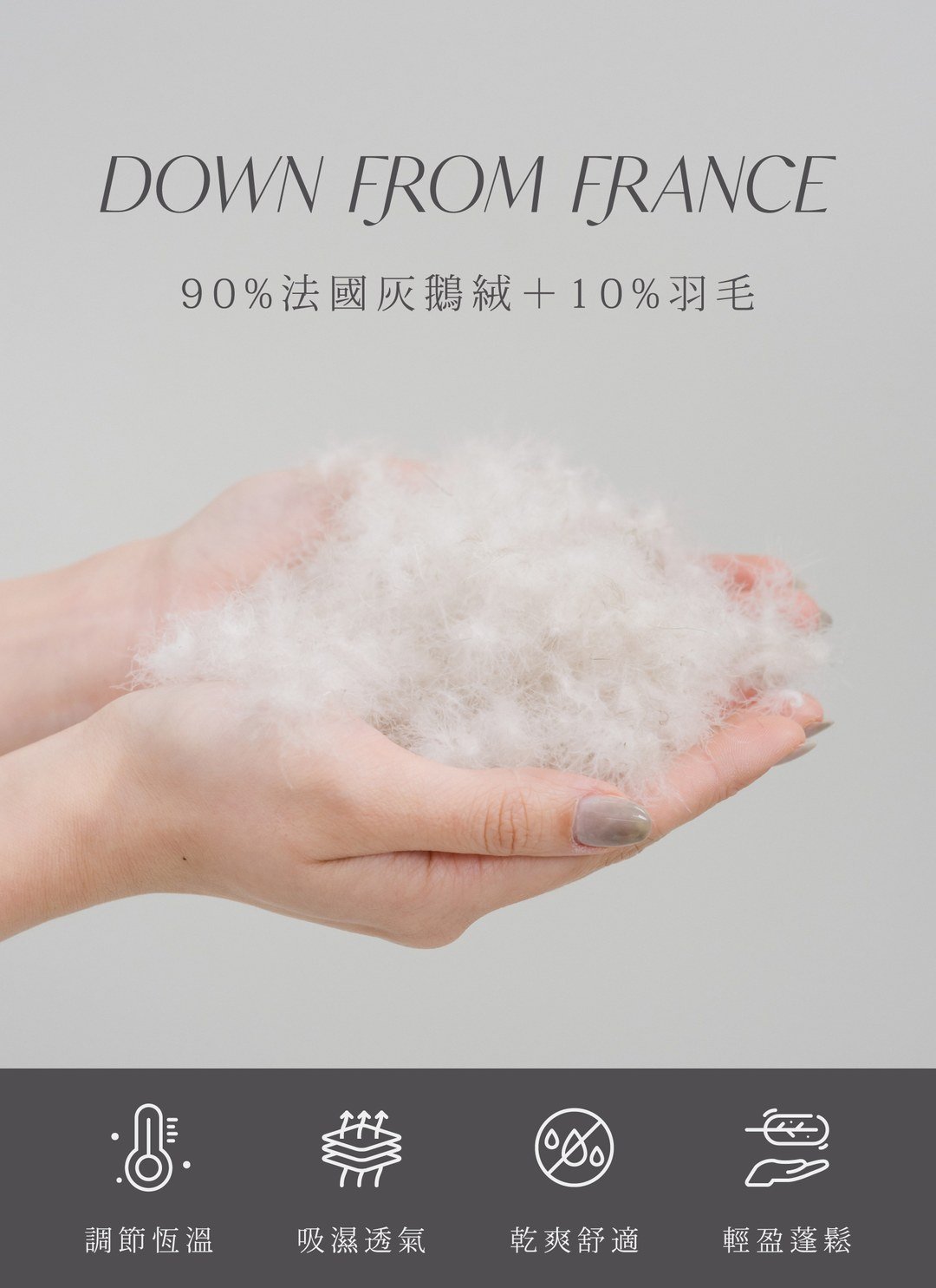 羽絨枕 - 頂級灰鵝絨枕 / 9010