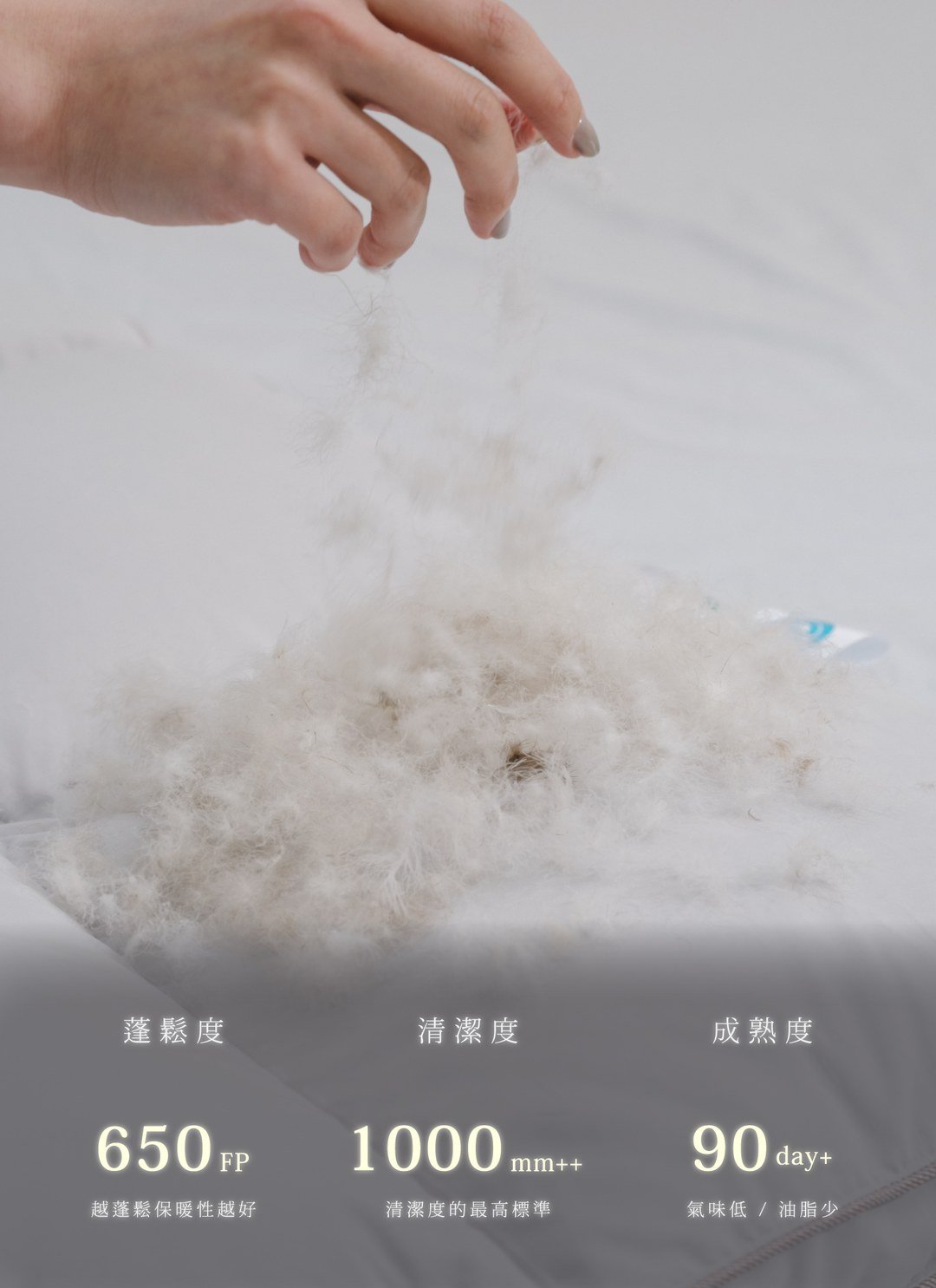 羽絨被 - 夏季被胎 / 法國產灰鵝絨夏被 / 頂級JIS日規標準