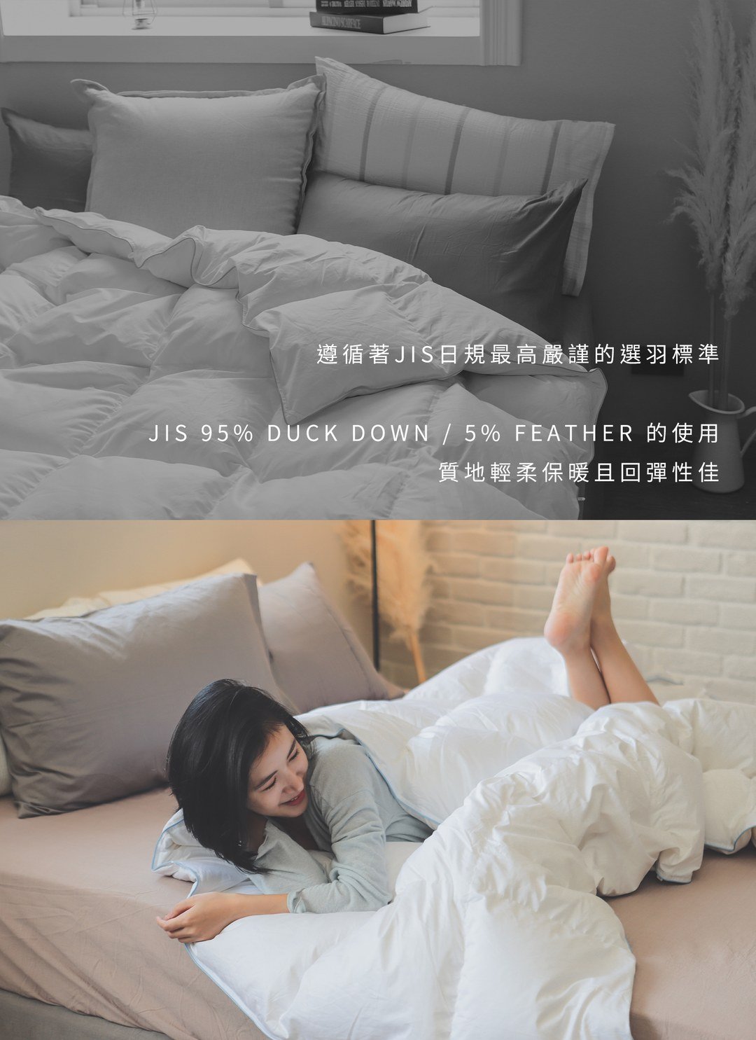 羽絨被 - 冬季被胎 / 匈牙利產鴨絨冬被