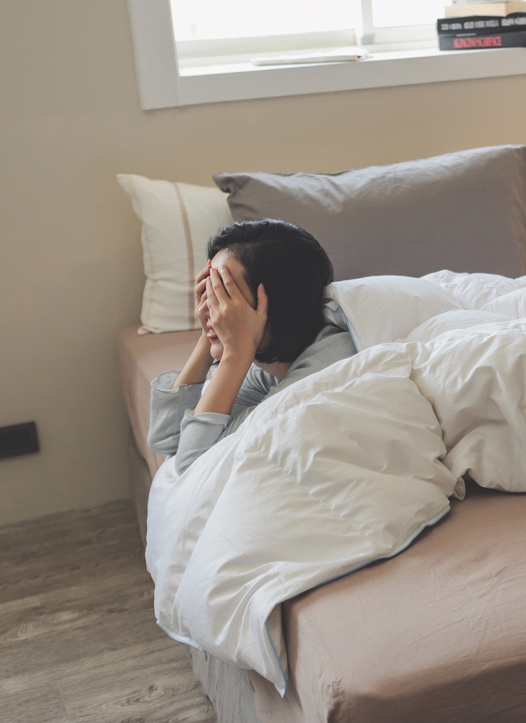 羽絨被 - 冬季被胎 / 匈牙利產鴨絨冬被