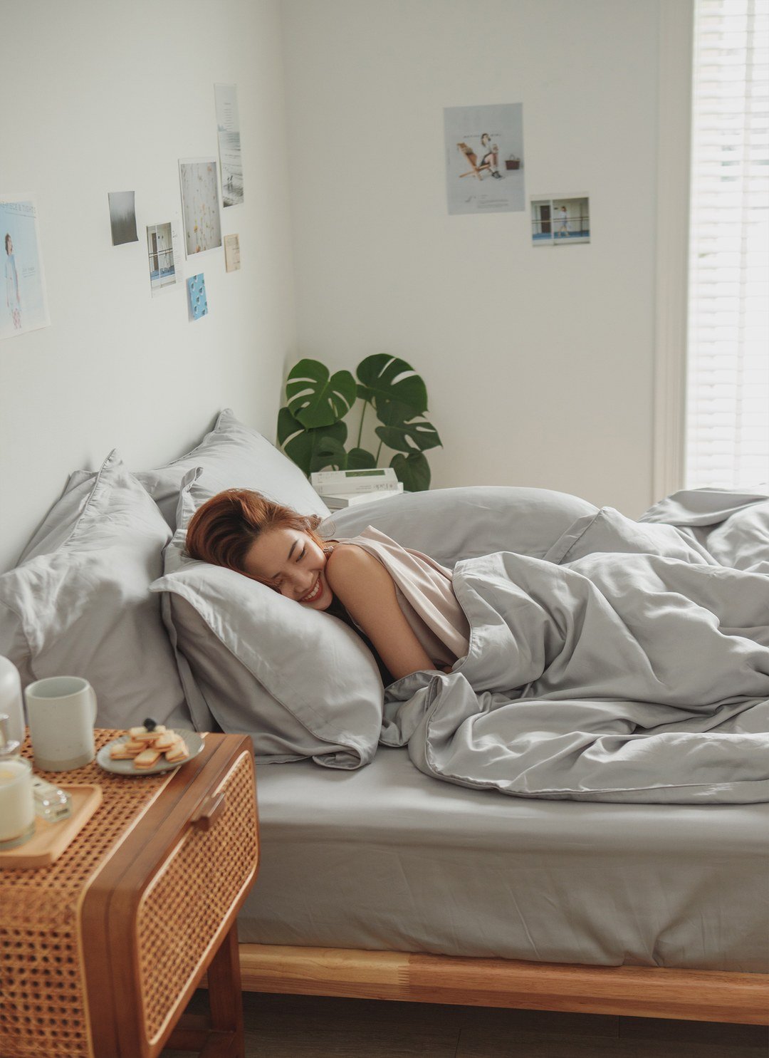 深灰雪松 - 天絲四件組 ( 床包 + 被套 + 枕套 )