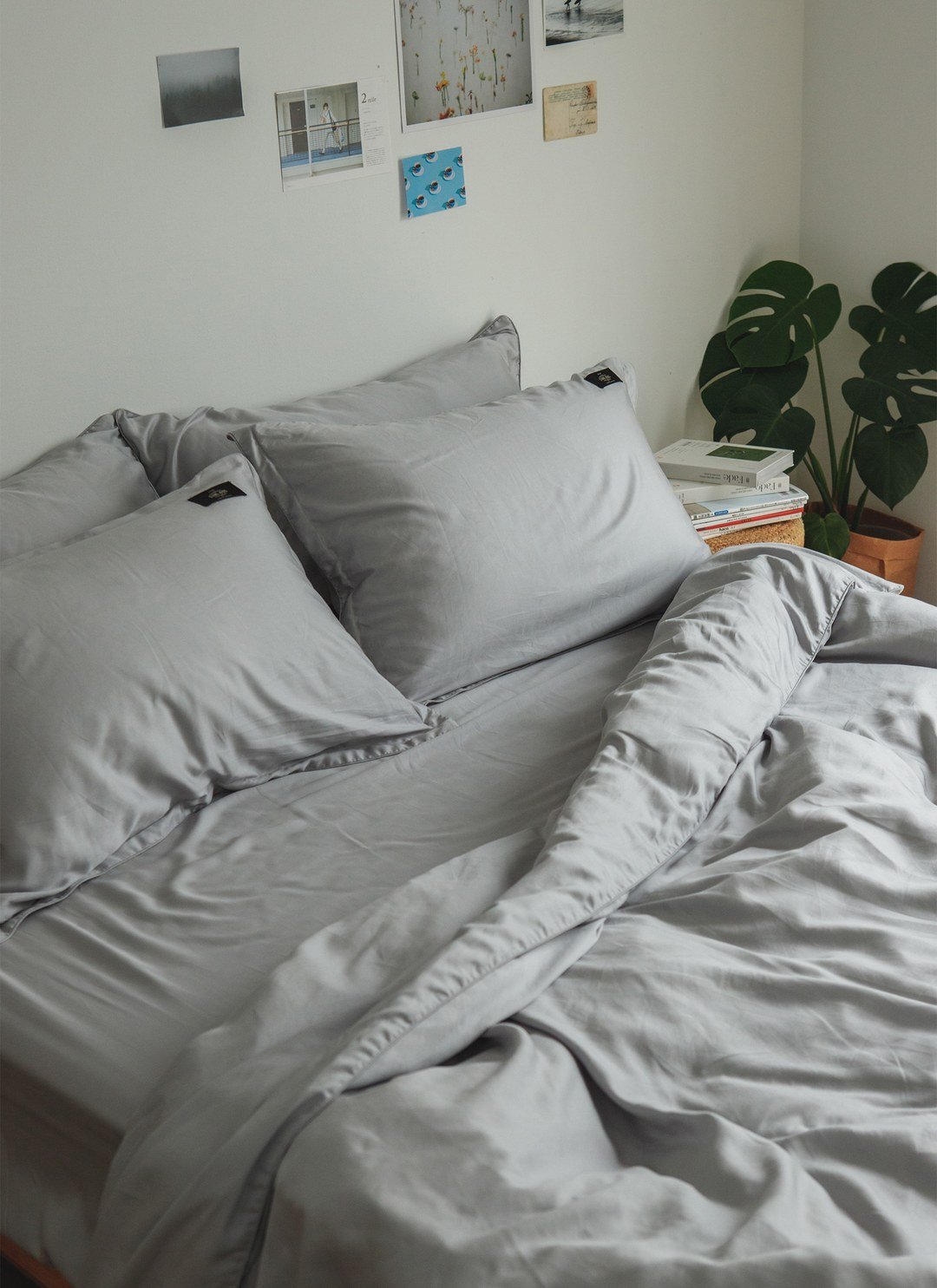 深灰雪松 - 天絲被套組 ( 被套 + 枕套 )