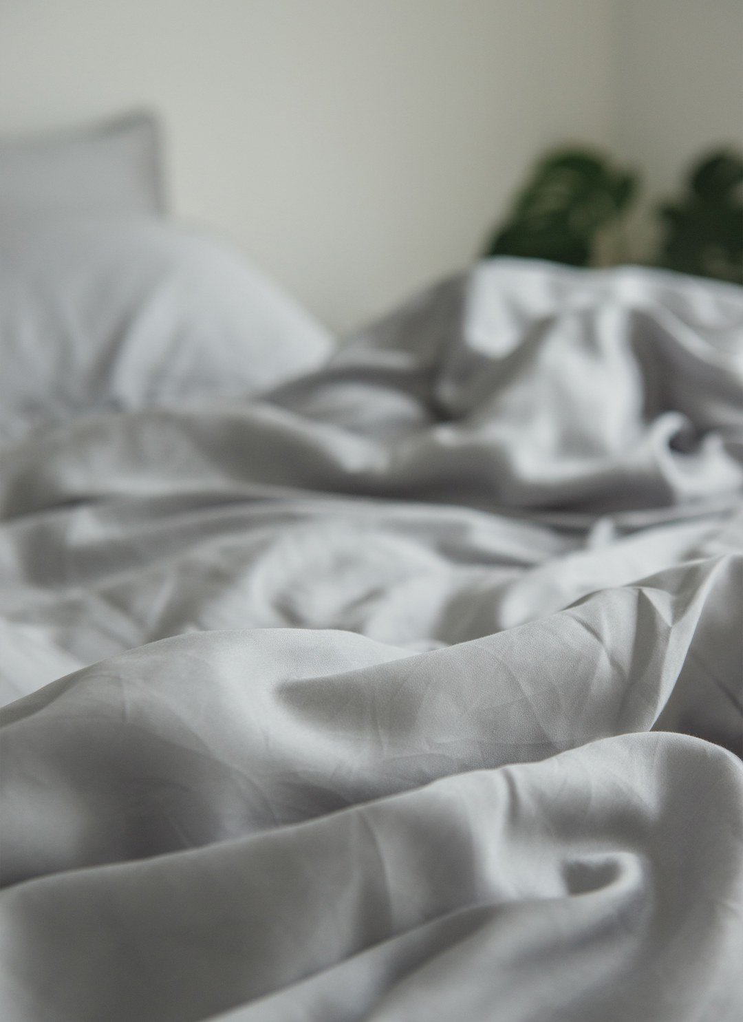 深灰雪松 - 天絲被套組 ( 被套 + 枕套 )