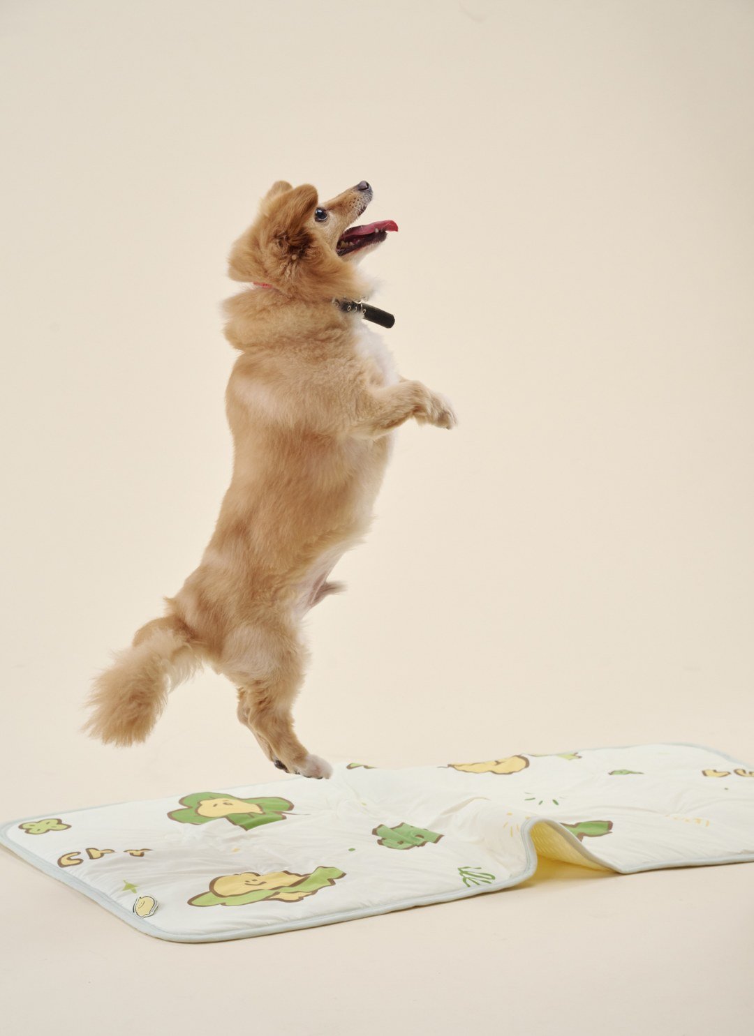 LUCKY LEMONY - 熊冷萬用墊 / 瞬間冰感 Extreme Cool / Second Morning 正版授權