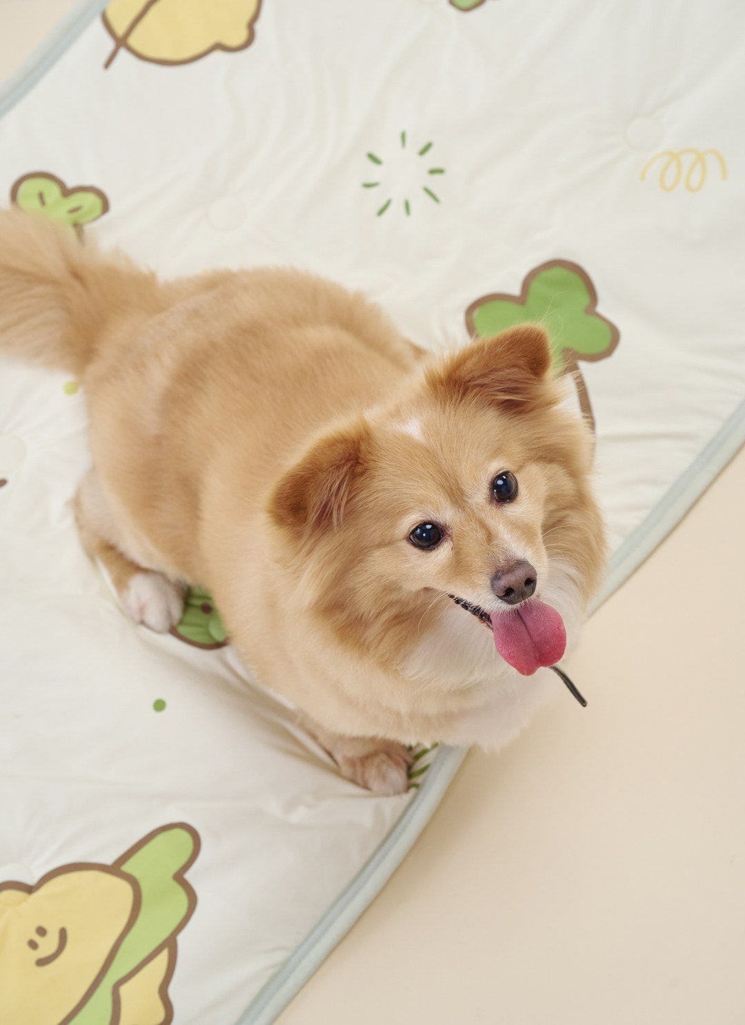 LUCKY LEMONY - 熊冷萬用墊 / 瞬間冰感 Extreme Cool / Second Morning 正版授權