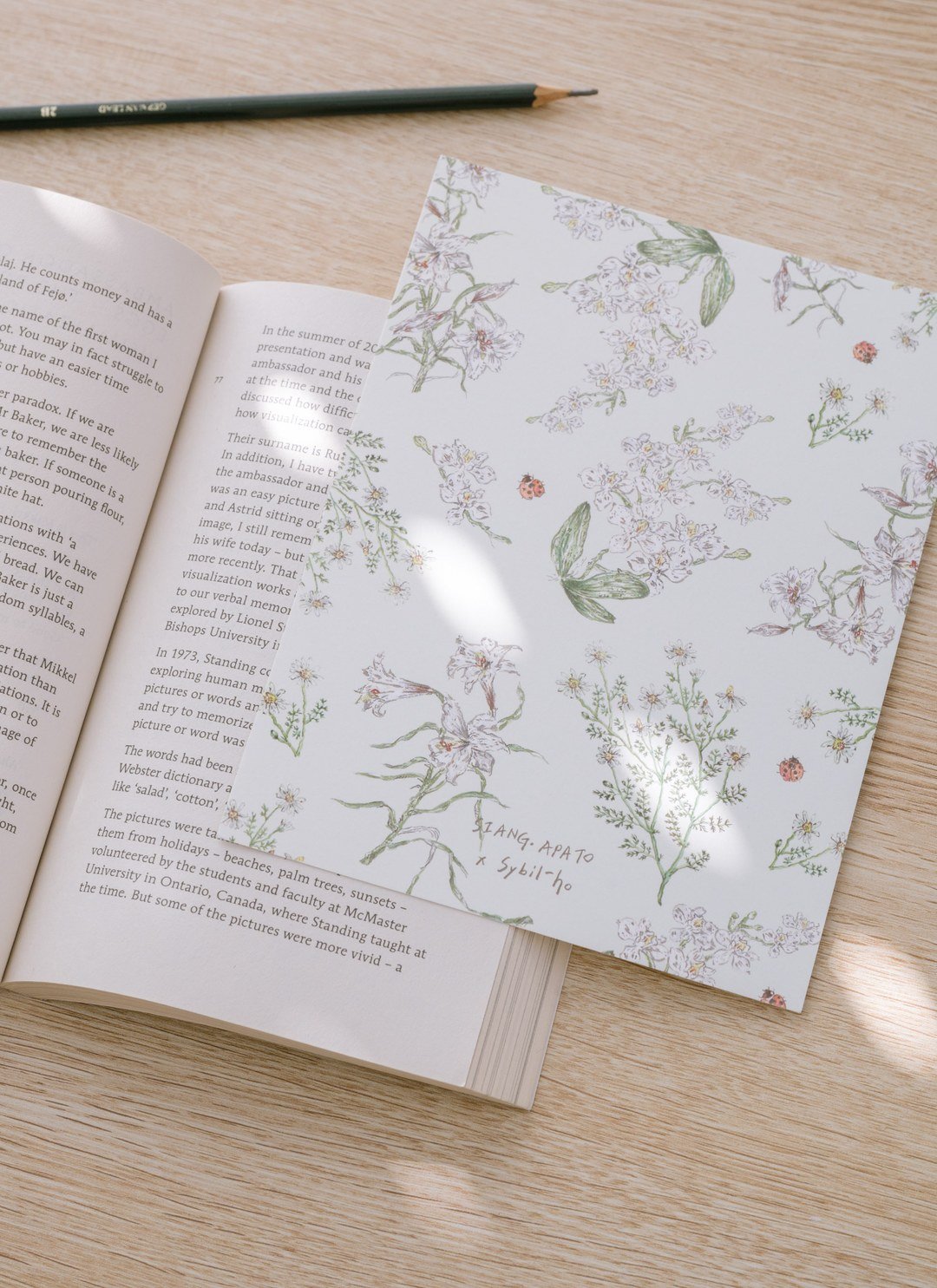 海報收藏套組 / Sybil-Ho 聯名款