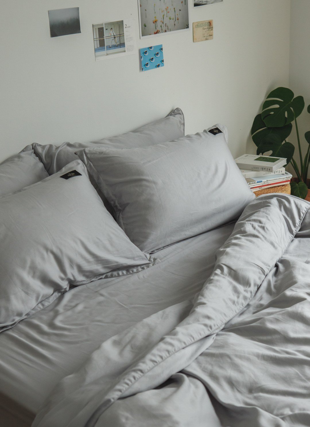 深灰雪松 - 天絲枕套 / 2入組