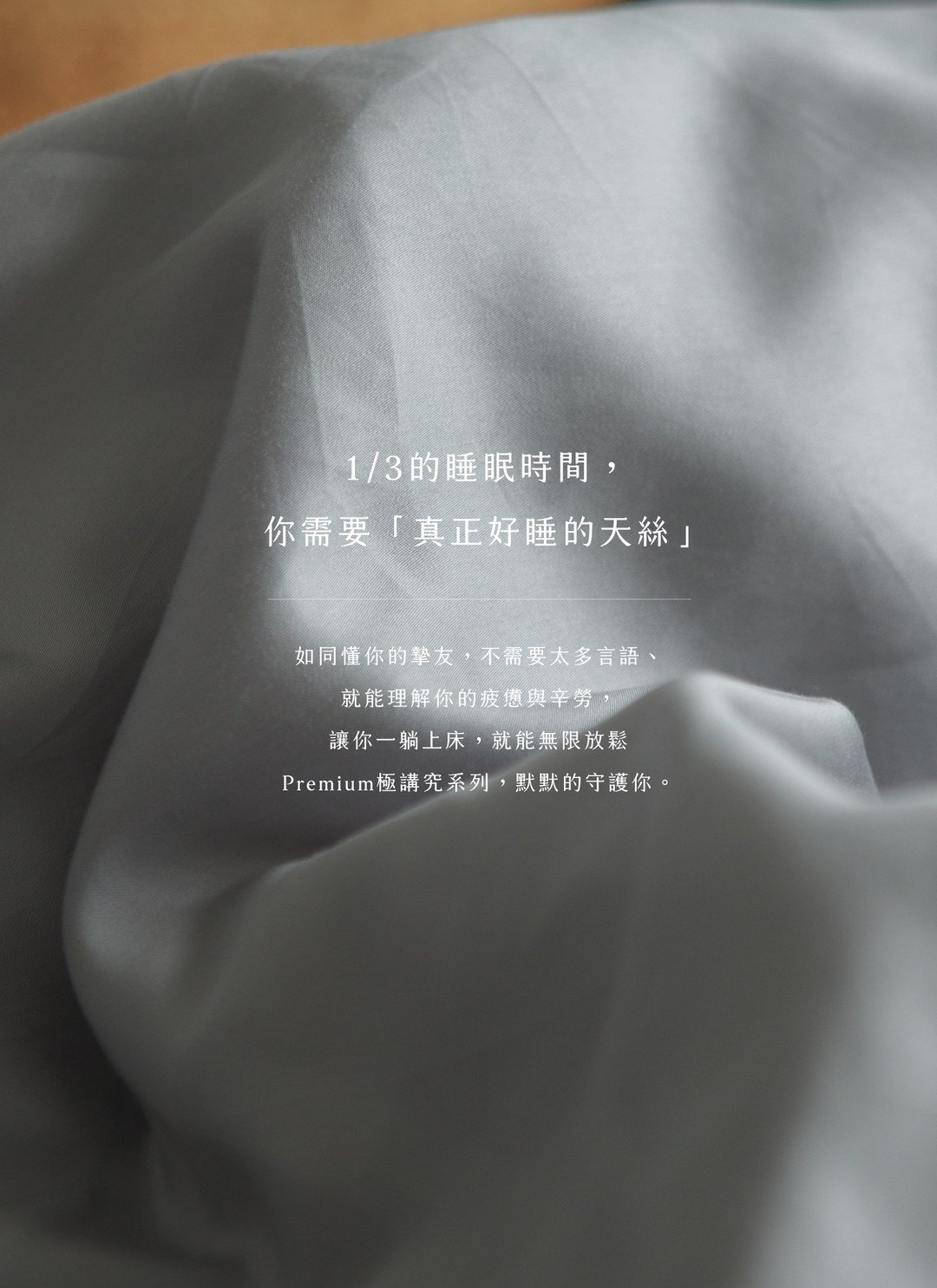 深灰雪松 - 天絲枕套 / 2入組