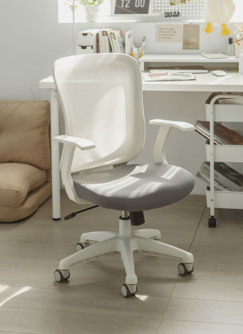 完美主義 - 韓系電腦椅辦公椅  / 韓國製