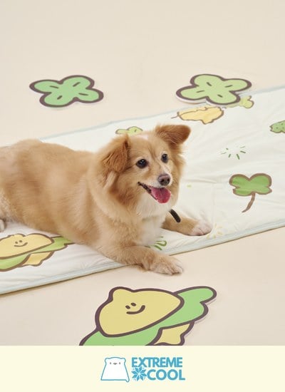 LUCKY LEMONY - 熊冷萬用墊 / 瞬間冰感 Extreme Cool / Second Morning 正版授權