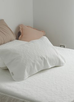 薄膜式防水抗菌枕墊 / 1入