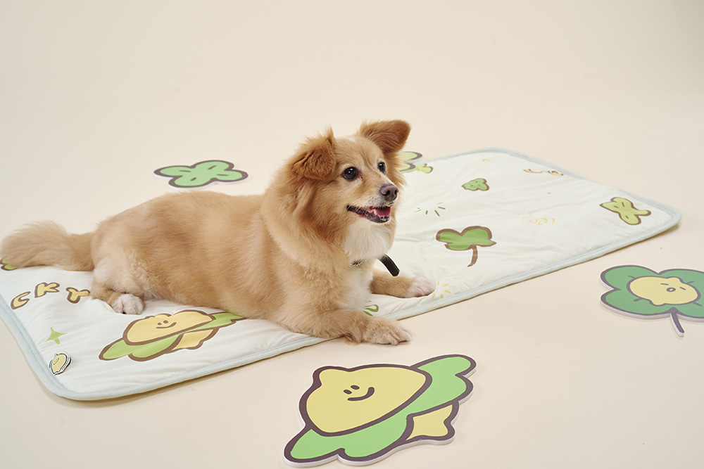 涼墊當作小孩、寵物墊使用