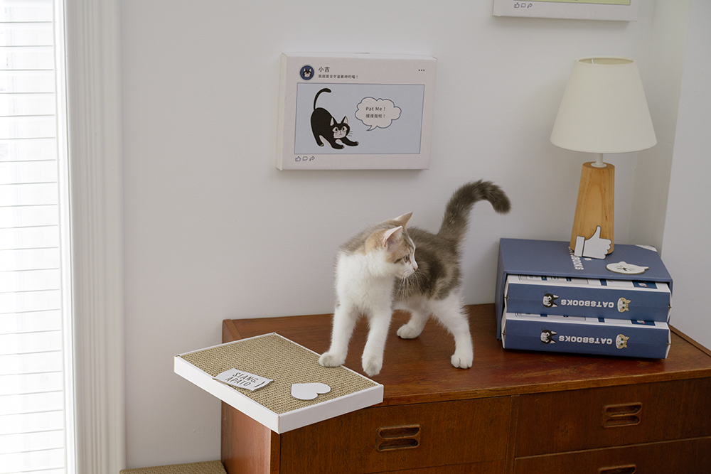 貓臉書聯名貓抓板