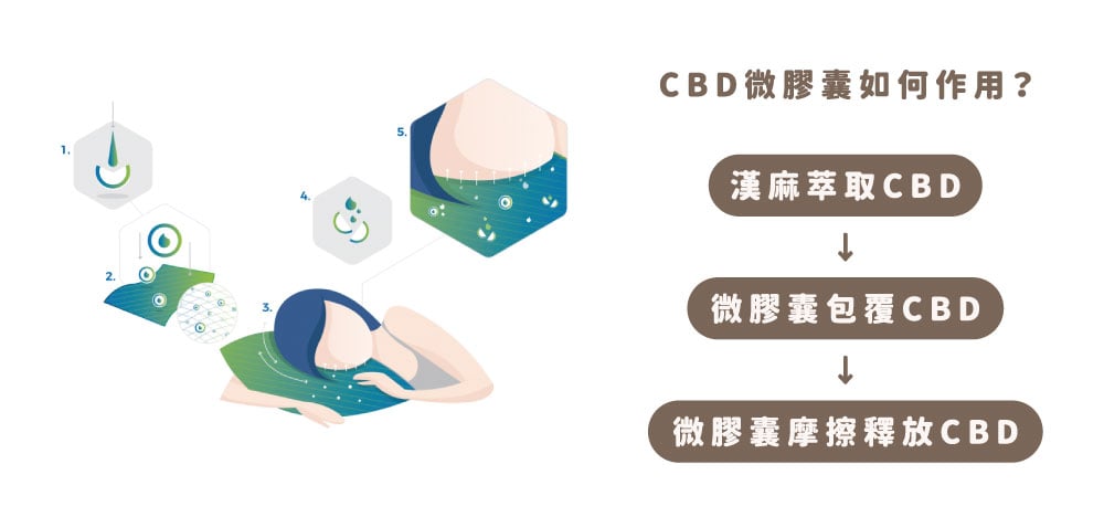 CBD微膠囊作用原理 CBD微膠囊作用原理