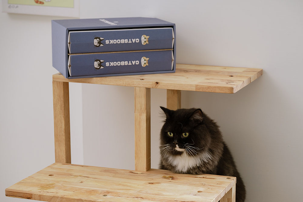 貓臉書聯名貓抓板