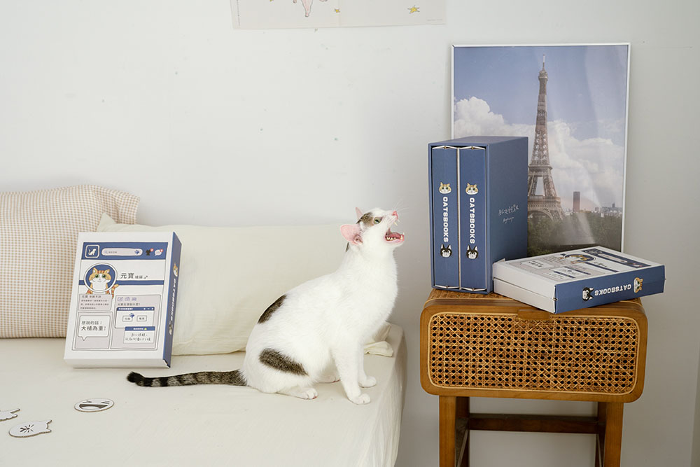 貓臉書聯名貓抓板