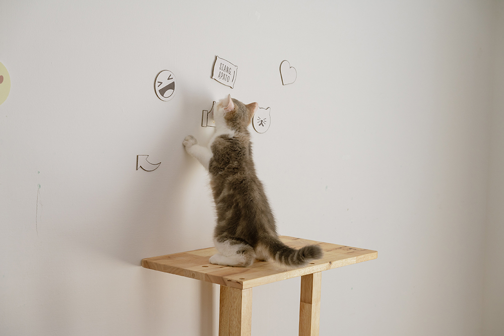 貓臉書聯名貓抓板