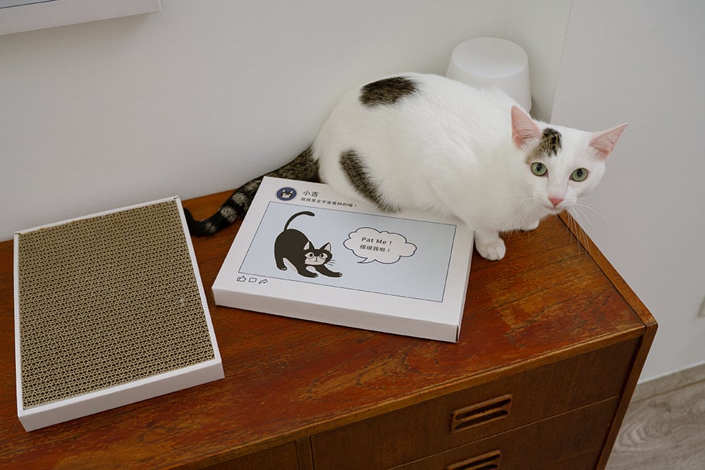 貓臉書聯名貓抓板