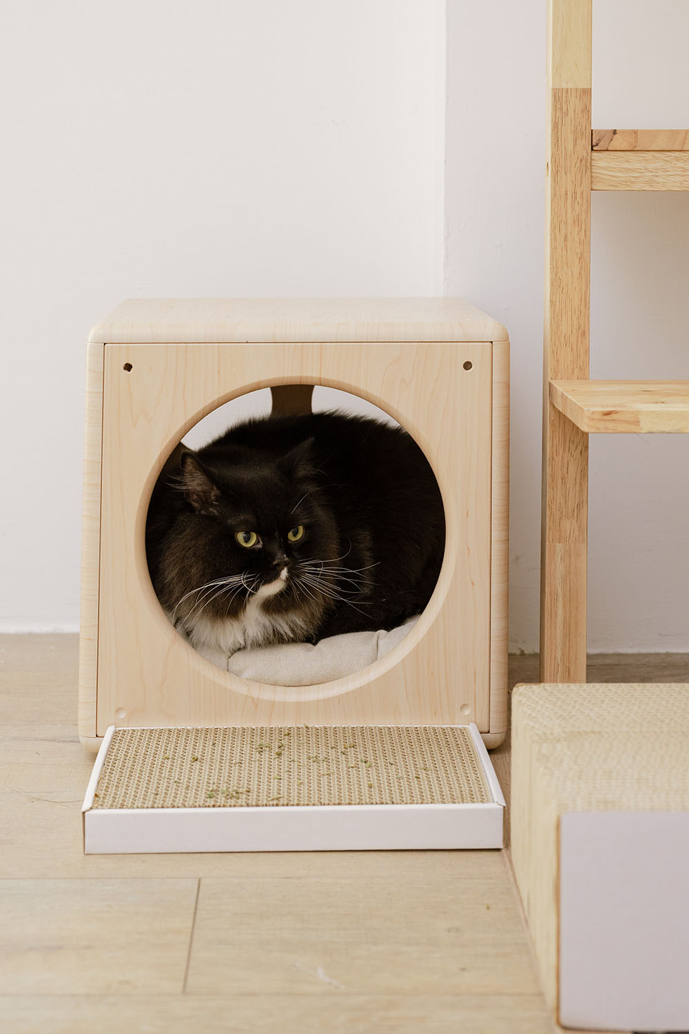 貓臉書聯名貓抓板