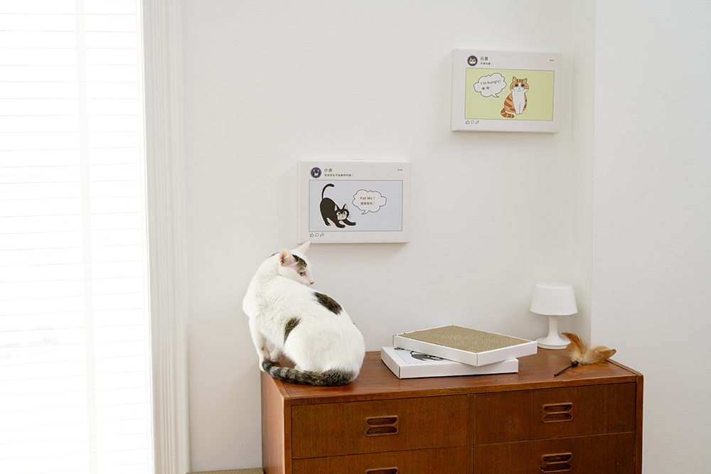 貓臉書聯名貓抓板